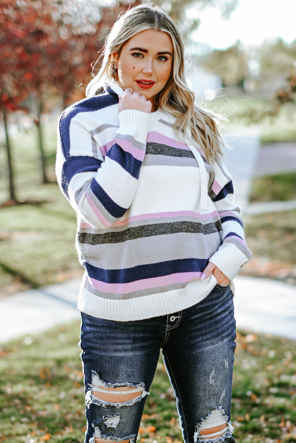 Bria Stripe Plus Size Striped Hooded Knit Sweater - The Bohemian Closet